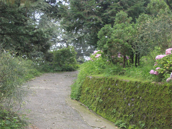 pic-1